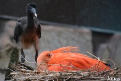 Zoologischer Garten Augsburg