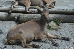 Zoologischer Garten Augsburg