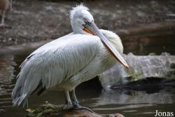 Zoologischer Garten Augsburg