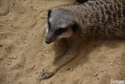 Zoologischer Garten Augsburg