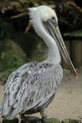 Vogelpark Walsrode