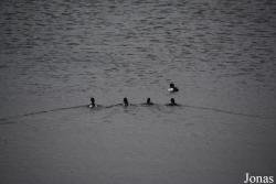 Lough Clubir