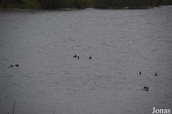 Lough Clubir