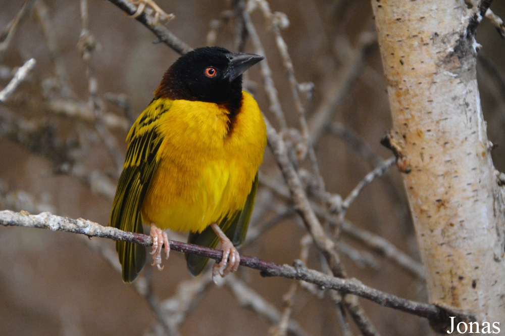 NaturZoo Rheine
