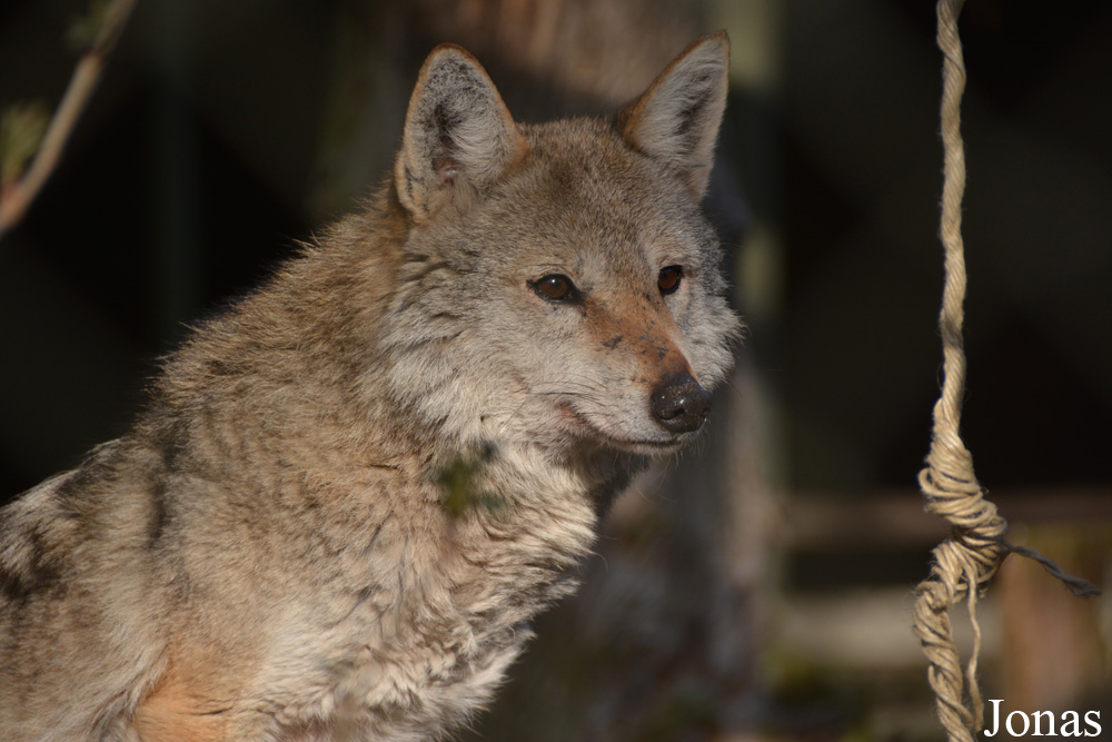 NaturZoo Rheine