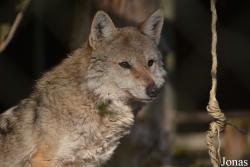 NaturZoo Rheine