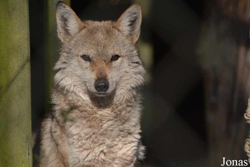 NaturZoo Rheine