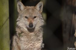 NaturZoo Rheine