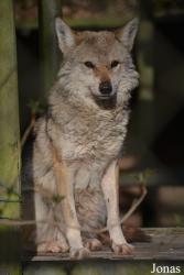 NaturZoo Rheine