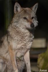 NaturZoo Rheine