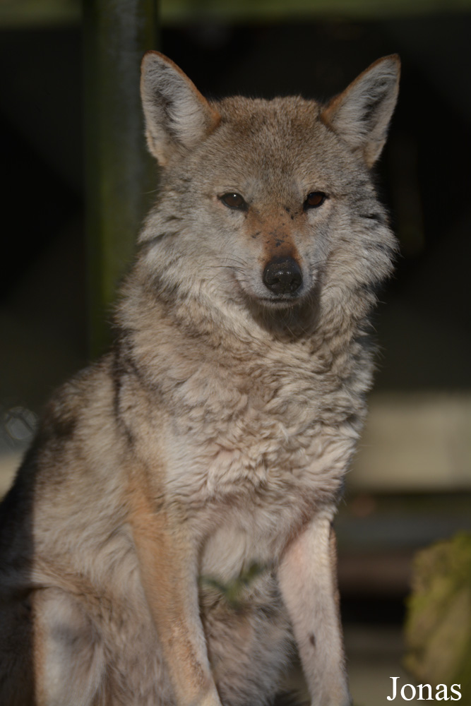 NaturZoo Rheine