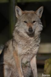 NaturZoo Rheine