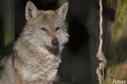 NaturZoo Rheine