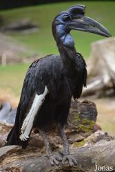 Münchener Tierpark Hellabrunn