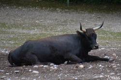 Münchener Tierpark Hellabrunn