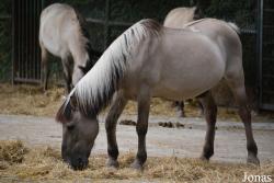 Münchener Tierpark Hellabrunn