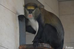 Zoo Jihlava