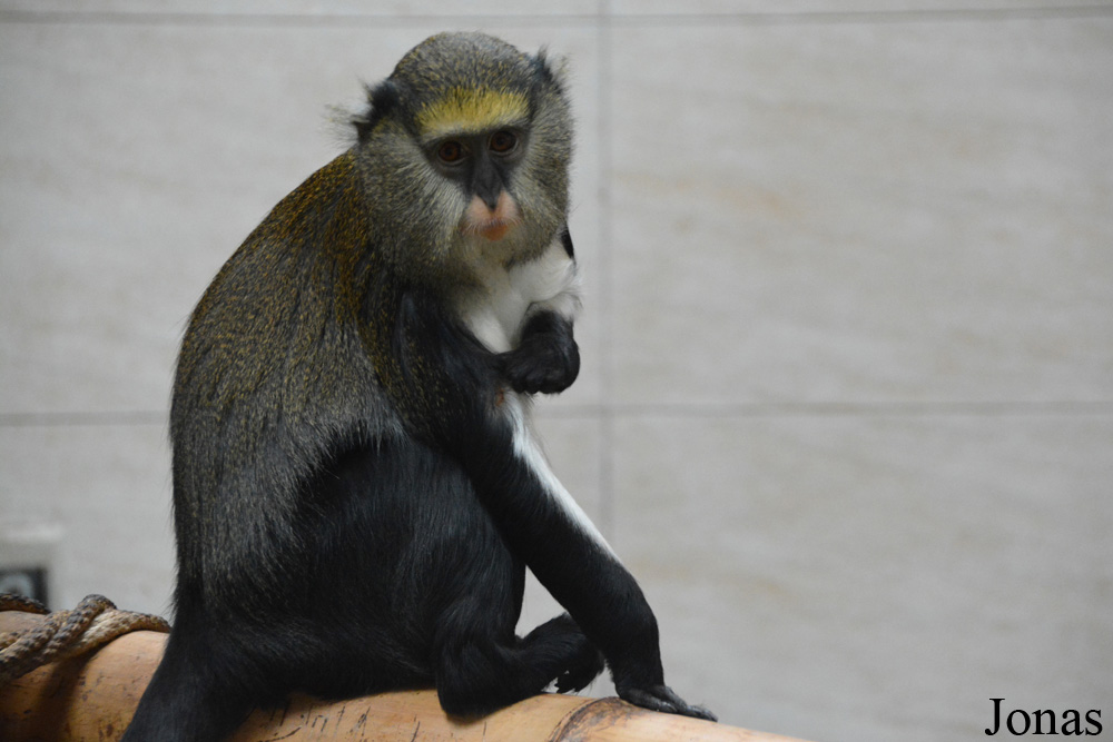 Zoo Jihlava