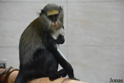 Zoo Jihlava