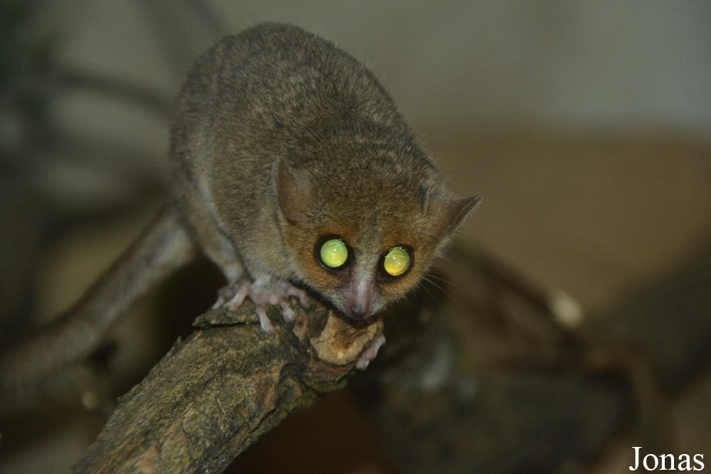 Zoo Jihlava