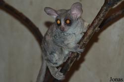 Zoo Jihlava