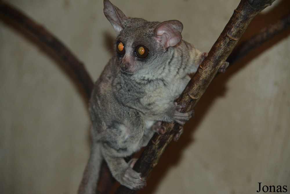 Zoo Jihlava