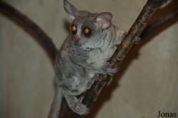 Zoo Jihlava