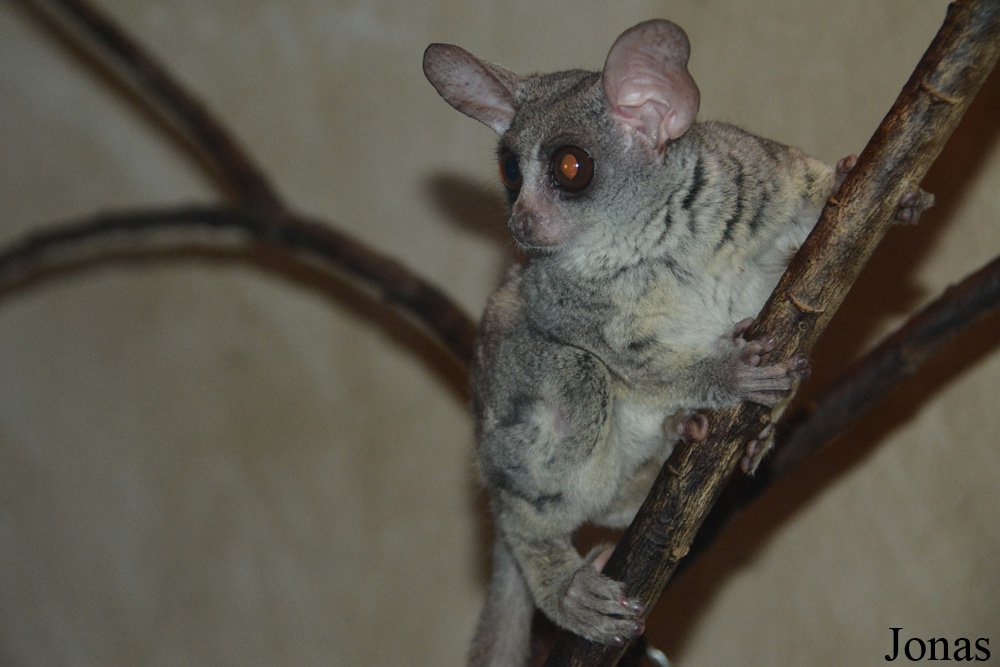 Zoo Jihlava