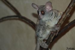 Zoo Jihlava