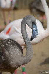Zoo Jihlava
