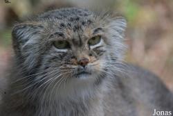 Zoo Jihlava