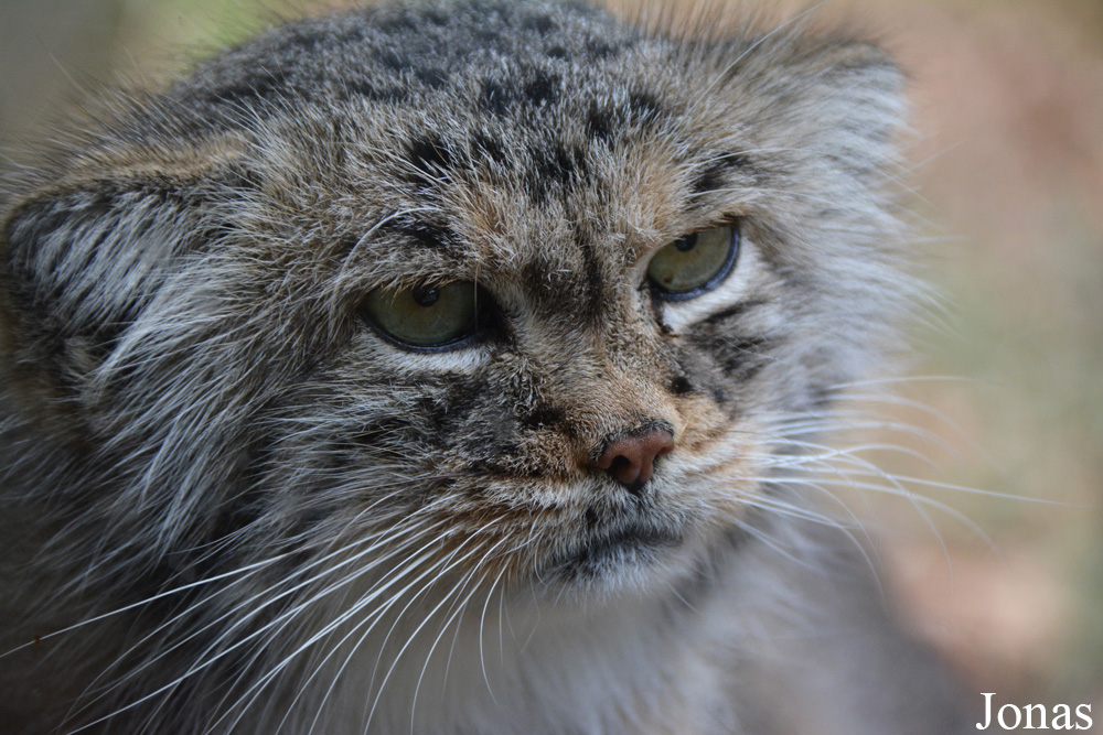Zoo Jihlava
