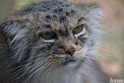 Zoo Jihlava