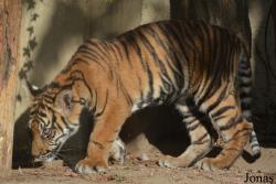Zoo Jihlava