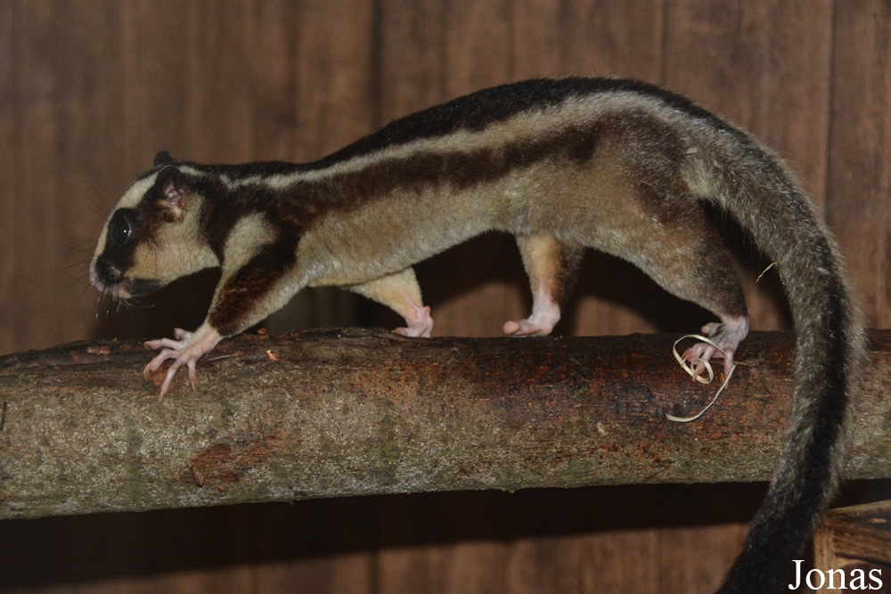 Zoo Jihlava