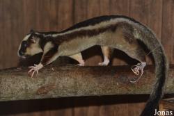 Zoo Jihlava