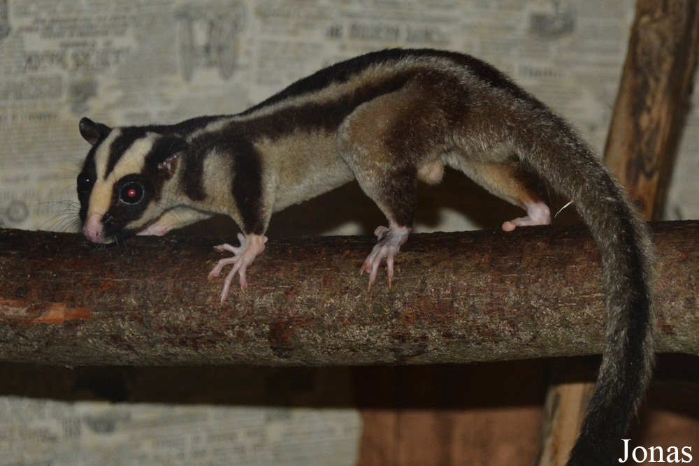 Zoo Jihlava