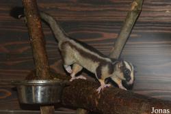 Zoo Jihlava