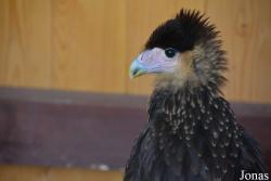 Zoo Jihlava