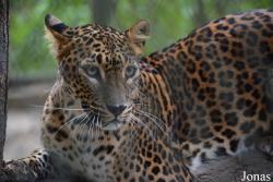 Zoo Brno