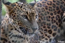 Zoo Brno