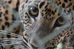 Zoo Brno