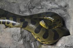 Zoo Brno