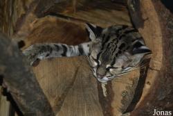 Zoo Brno