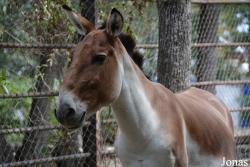 Zoo Brno