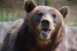 Zoo Brno
