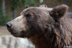 Zoo Brno