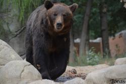 Zoo Brno