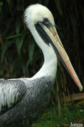 Vogelpark Walsrode