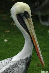 Vogelpark Walsrode
